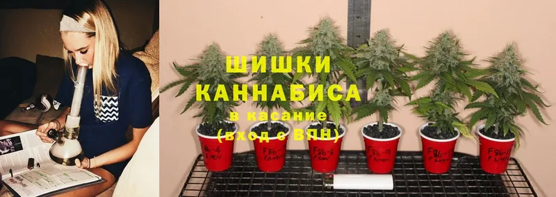 МЕГА вход  Игарка  МАРИХУАНА Ganja  купить  цена 